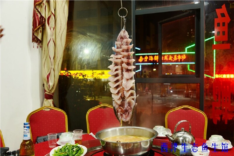 感受南宁西津水库神秘吊水鱼