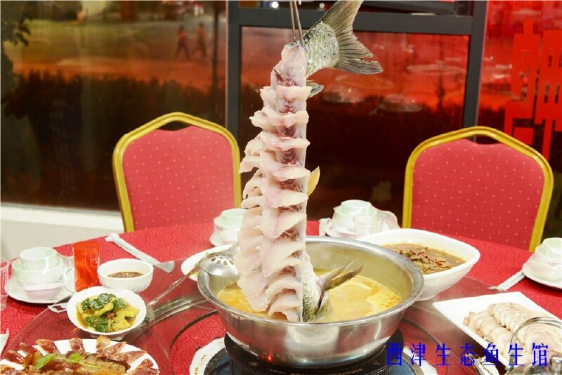 感受南宁西津水库神秘吊水鱼