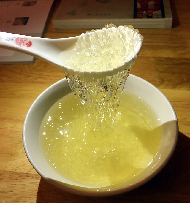 途牛首发# 猫猫在路上——我在泉州的日子