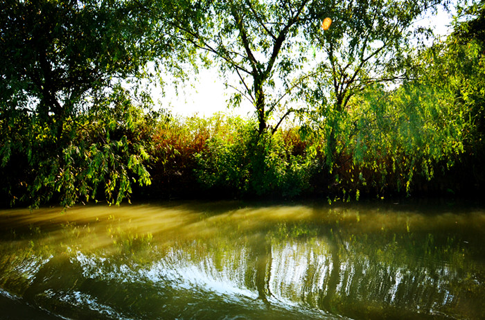 寻找西湖边最美的风景(图)