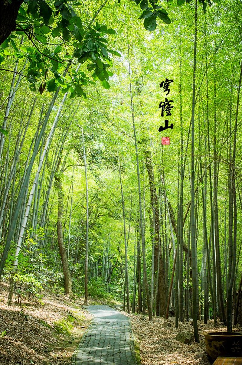 如果你从穹窿山的大门进入园区,首先映入眼帘的就是铁竹亭.