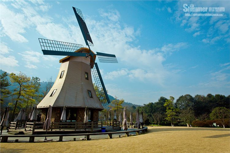 杭州太子湾公园风车图片