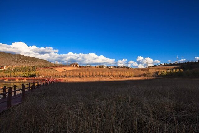 湖中栈道阳光下的倒影. 松赞林寺