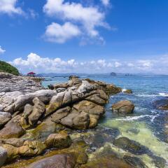 ph1466-p00091