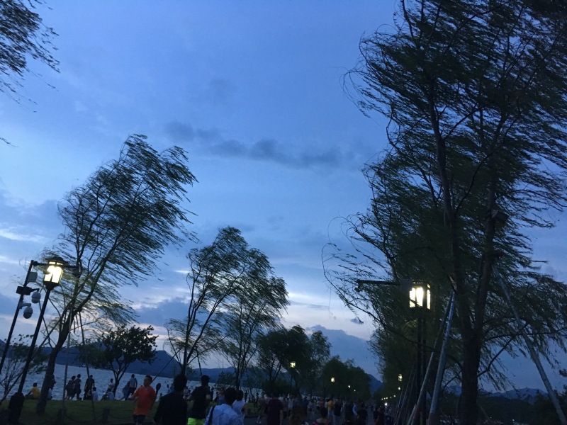 夜晚风吹的图片,夜晚风吹树叶的图片_大山谷图库