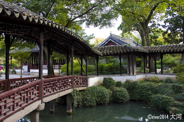 长廊也是苏州园林的必备元素,有了长廊,游园再也不受天气限制,无论是