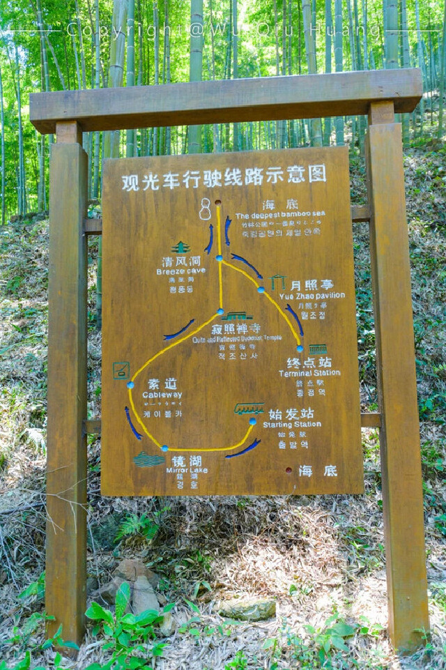 这个夏天在湖父静静的享受慢生活