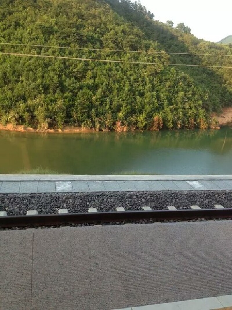 心陷武夷 情系水秀