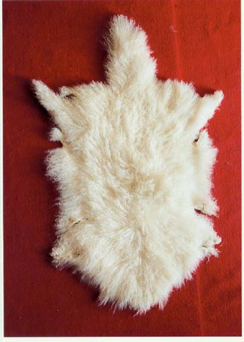 贺兰石:宁夏五宝之蓝宝,贺兰山出产的贺兰石,石质细密,坚而不脆,呈