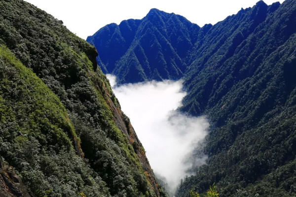 貓兒山看雲海,佛光,日出日落