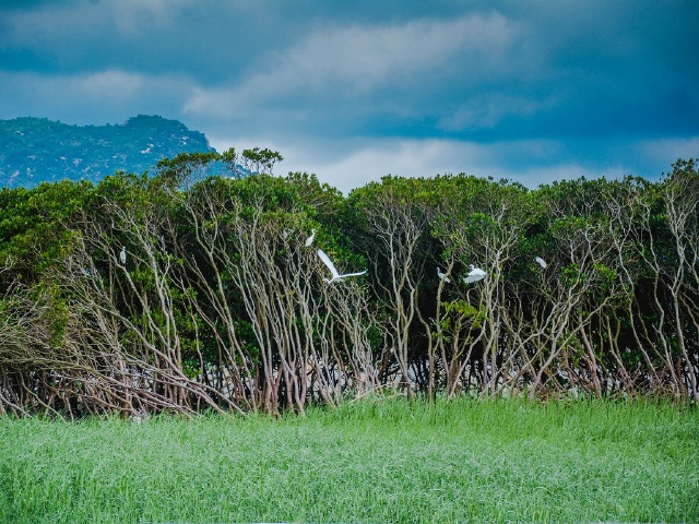  厦门-漳州海门岛渔家乐2日自驾游>捉蟹记 海钓记