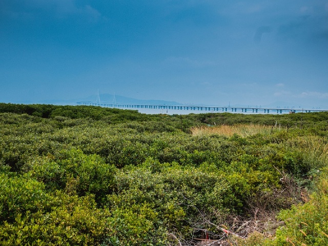  厦门-海门岛渔家乐1晚2日半自助游>抓蟹记 海钓