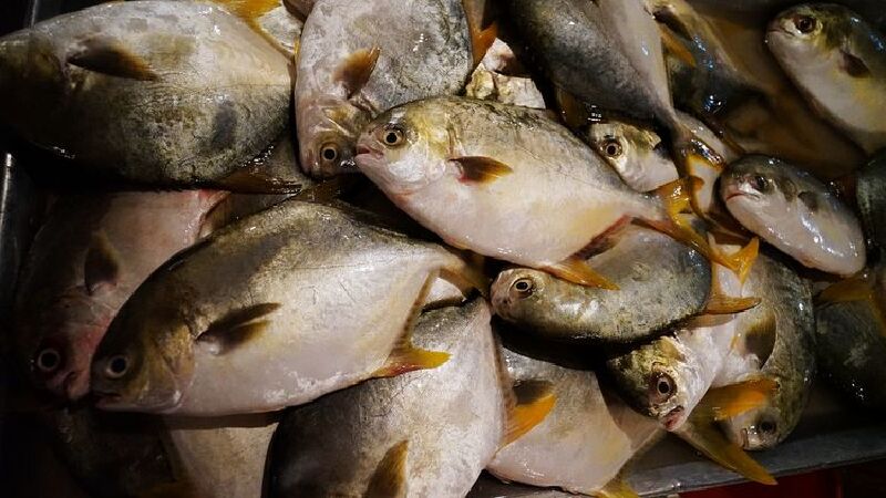 还有各种冰镇的新鲜鱼虾,价格挺便宜,但