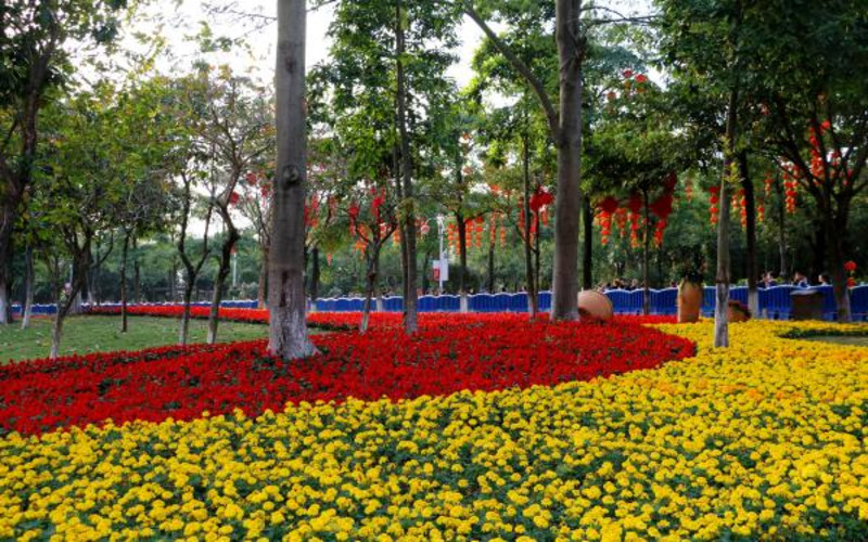 海珠湖公園踏青賞花吹風曬太陽