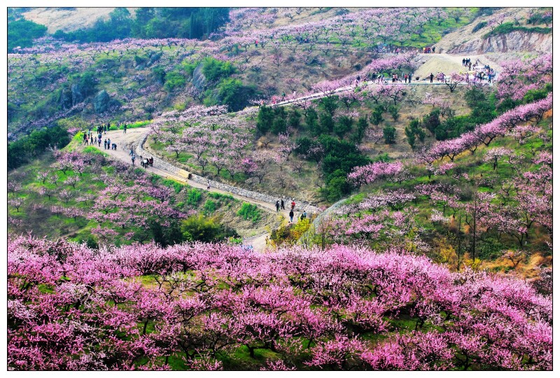 等我们老了, 就回金华乡下_诸葛八卦村游记_途牛