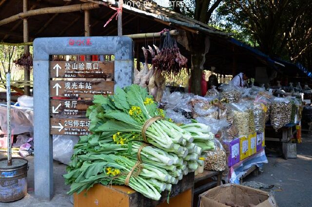 登天梯观飞瀑,一起登山吸氧吧!