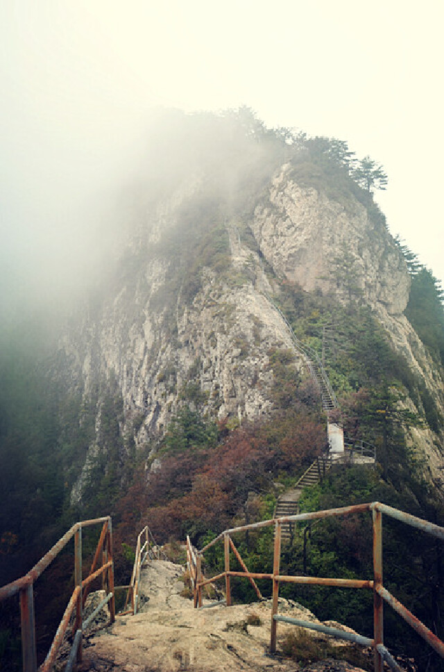 老君山主峰马鬃岭.
