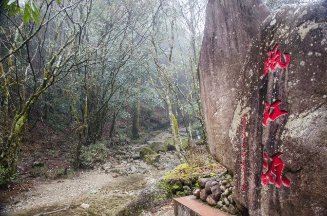 看起来整个源头的水流很小啊,实际上却是温州人的母亲河瓯江的源头.
