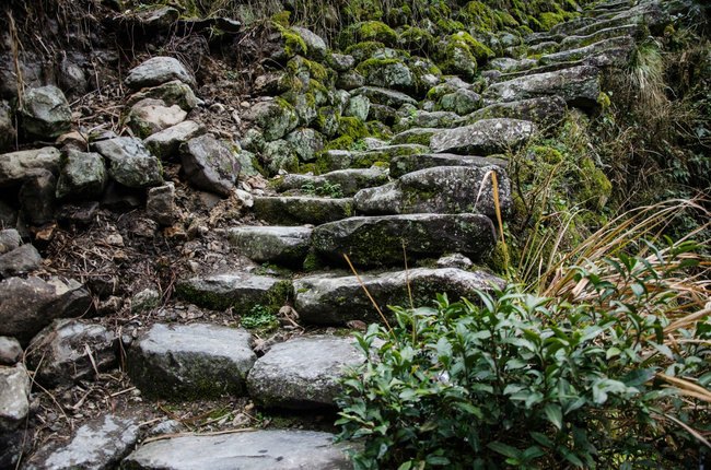 龙泉猴年闹元宵:探古道,住民宿,品民俗