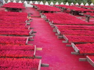 厦门人民剧院《多国舞动厦门》