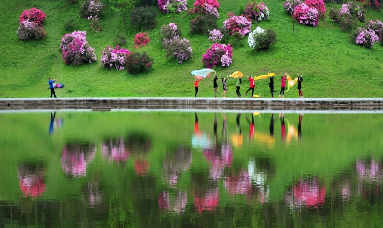 新津花舞人间景区