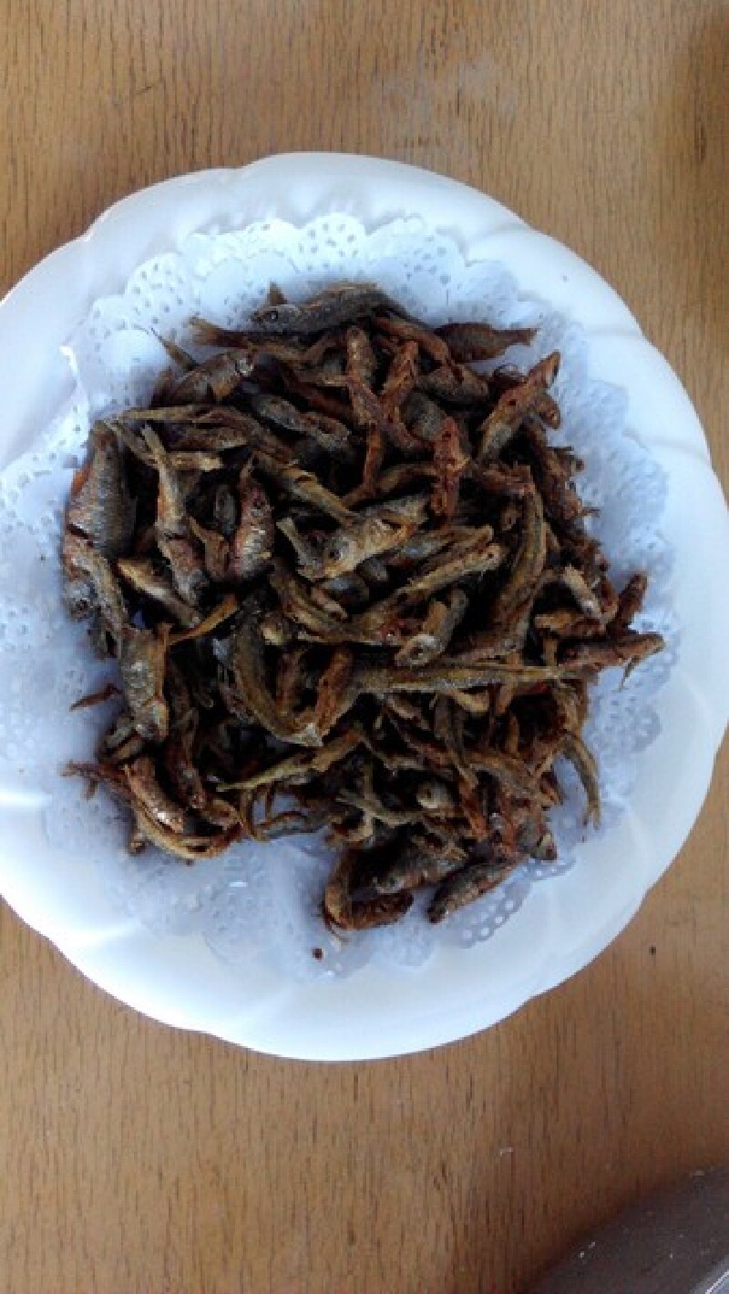 传说中的北极光老人家我们来啦