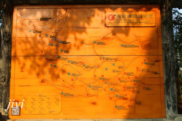 彩色相见江南之南,开化撩人春色在今年【多图】_根宫佛国文化旅游区