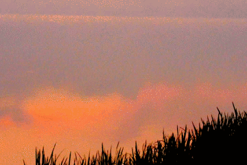 在美景面前闲不住的我 ,拿着相机激动的出了门.