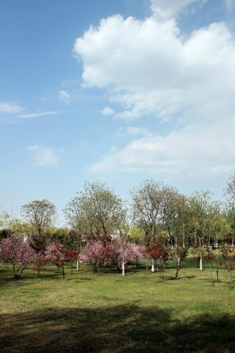 石家莊植物園一日遊