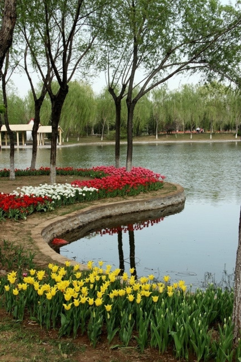 石家庄植物园风景图片