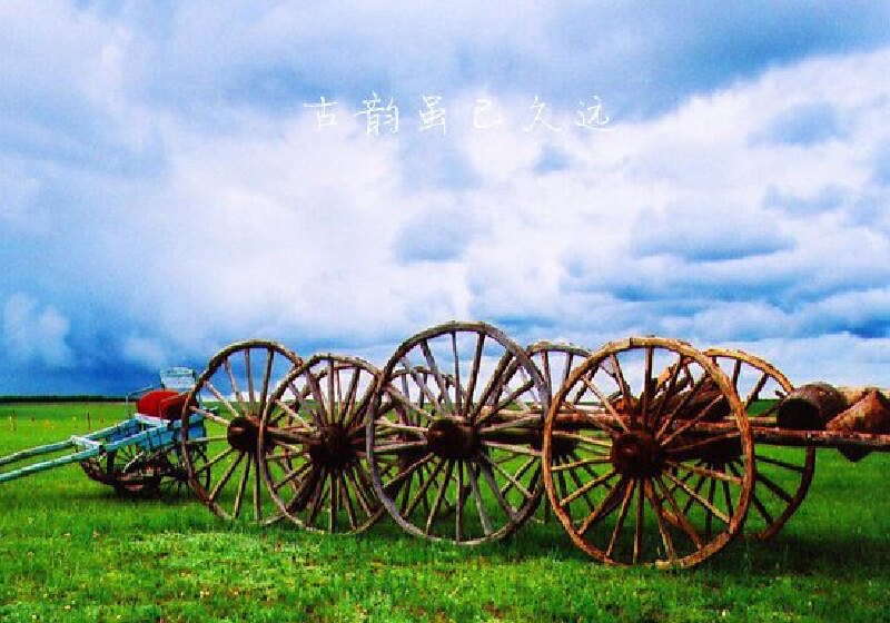 马背上的民族马背上得我坐着霸道看草原狼行天下