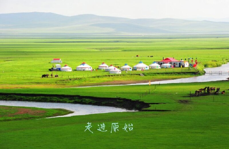 马背上的民族马背上得我坐着霸道看草原狼行天下