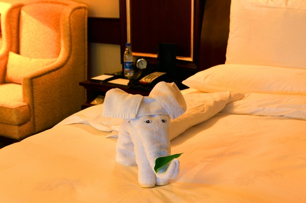 手巧的服务员用毛巾叠成一只小像,伸着嘴巴在欢迎我的到来.