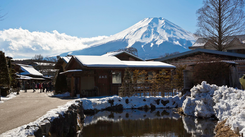 日本东京 富士山 忍野八海1日游 精致小团 1人成行 天天发团 含河口湖游船 大石公园赏花 红叶季赏枫 东京12区上门接送 出发 途牛