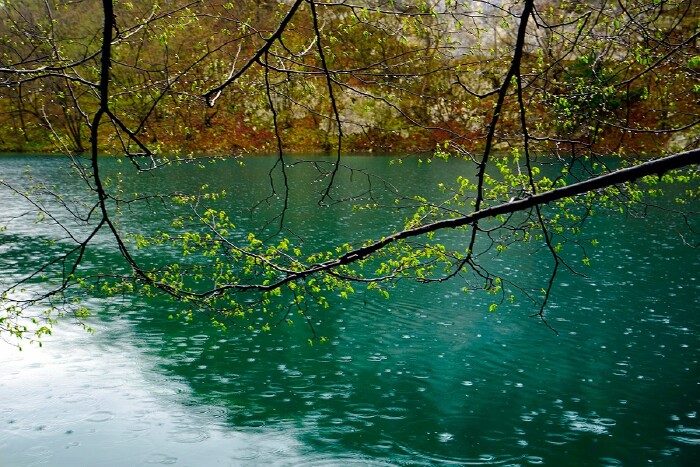细雨霏霏,_大山谷图库