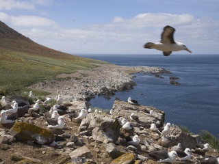 <南美5国+南极半岛31日游>一生一次的传奇之旅
