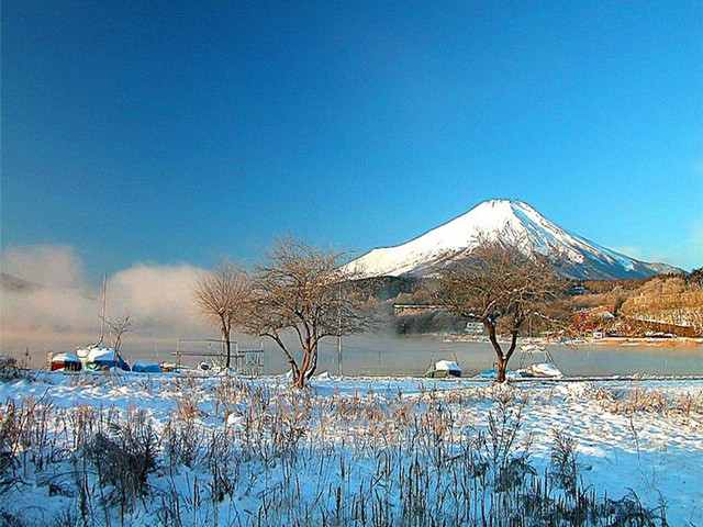 河口湖-忍野八海-山中湖溫泉1日遊>中文服務,東京市區酒店接送(當地遊