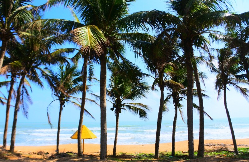 骑游海南,走椰林秘境,听海的故事