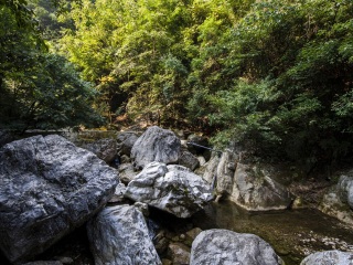 金丝大峡谷国家森林公园