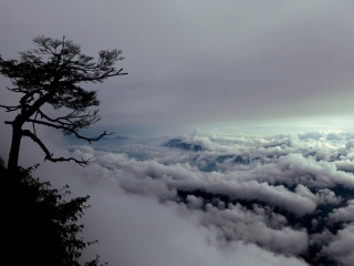 瓦屋山国家森林公园
