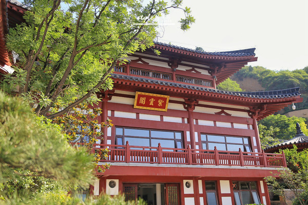 梦回大唐,带你感受大唐盛世