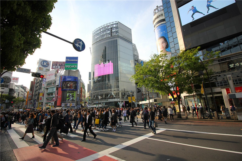 走在新宿的街头,让我感受到密集的人流和高楼云集.