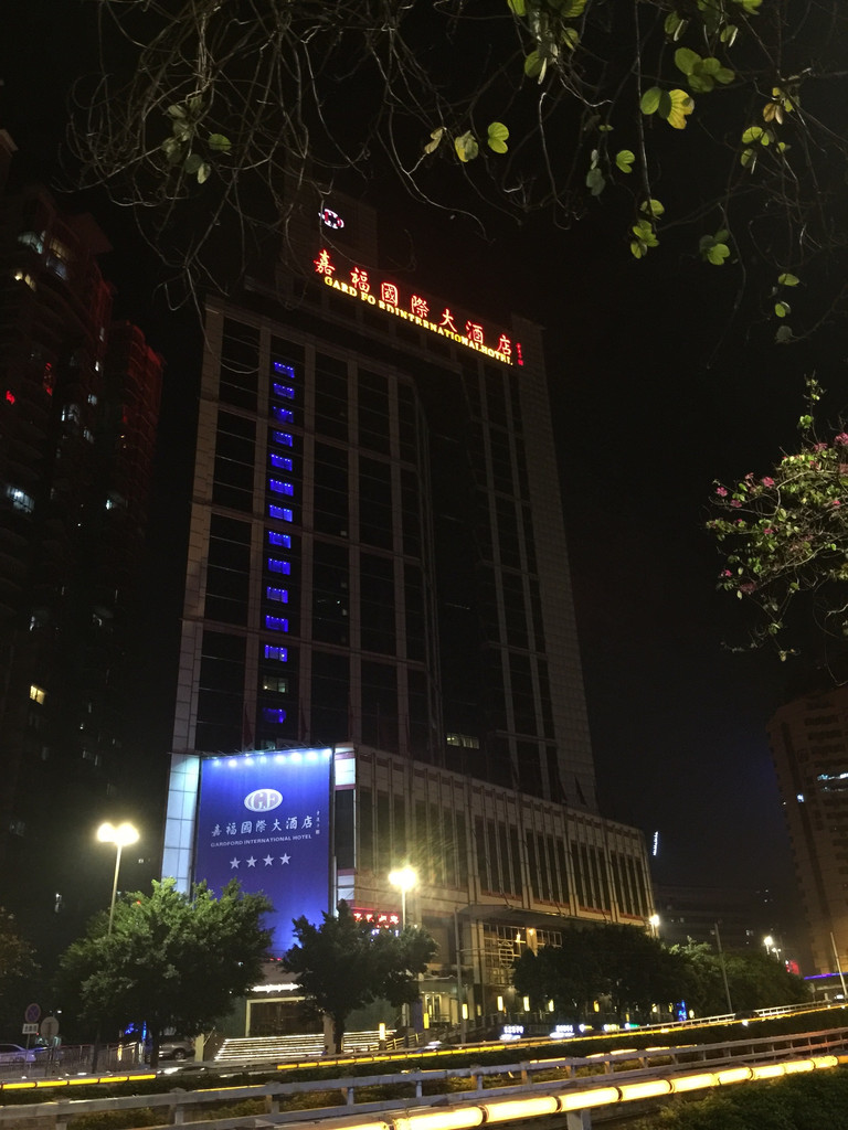 广州嘉福国际大酒店图片