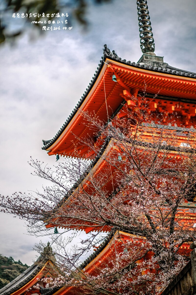 霓虹国的美好,樱の夙愿_浅草寺游记_途牛