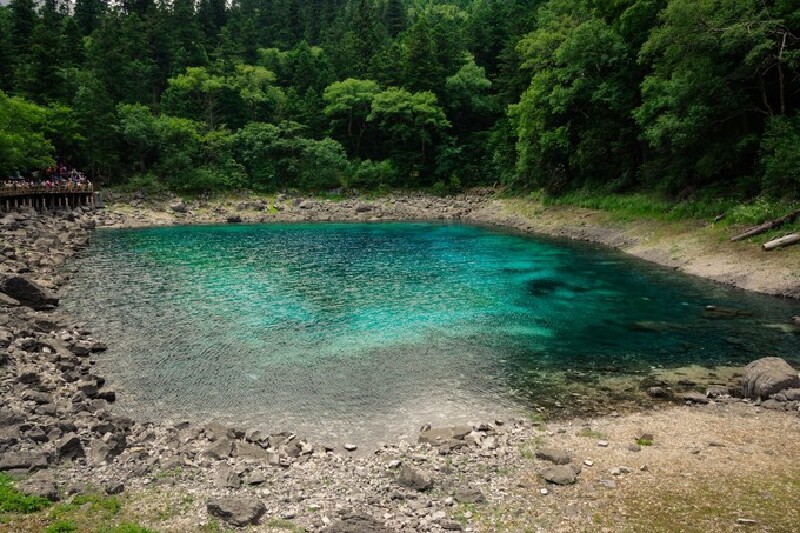 一池水,五种颜色,这种场景实在不多见,但又不得不佩服大自然的鬼斧神