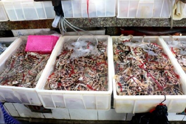 海鲜批发赚钱还是零售赚钱 海鲜批发赚钱还是零售赚钱