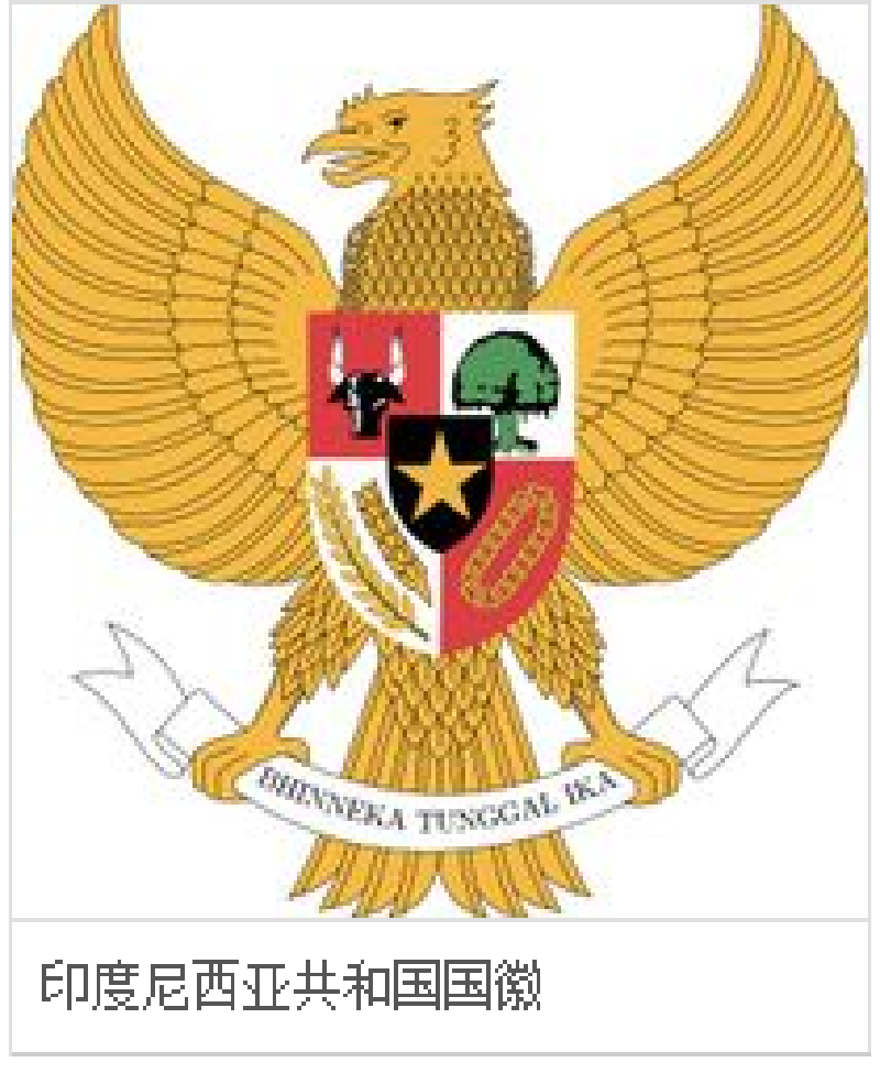 发现海岛南纬8度的巴厘岛时光