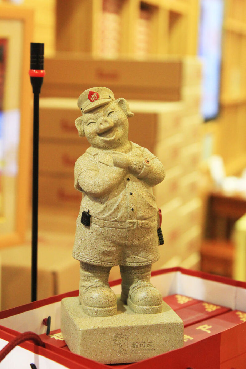 超喜欢这头猪老三,买了一头回来,89.