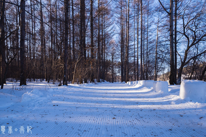 這個冬天,以滑雪節為名,抵達冰雪中的長春