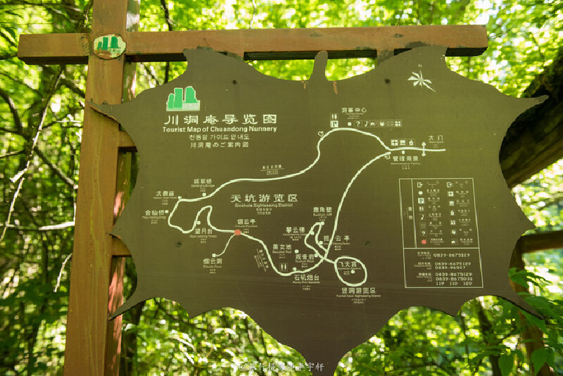 女皇故里广元朝天休闲之旅